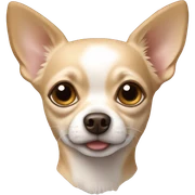 chihuahua beige sticker