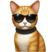 Cat with sunglasses sticker