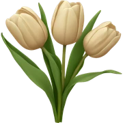 bunch of beige tulips  sticker