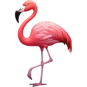 flamingo  sticker