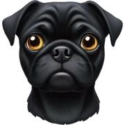 Black pug  sticker