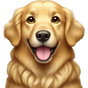 golden retriever  sticker