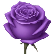 Purple rose sticker