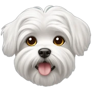 Maltese sticker