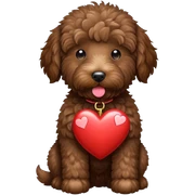 Dark brown goldendoodle holding heart  sticker