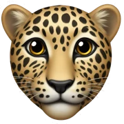 leopard heart sticker