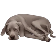 weimaraner sleep sticker