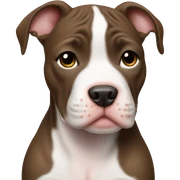 Pitbull puppy  sticker