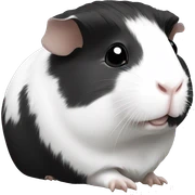 guinea pig black and white sticker
