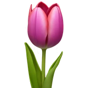 tulpen sticker