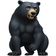 Ninja bear sticker