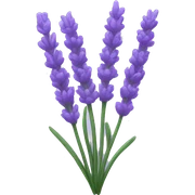 lavender sticker