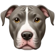 blue nose pitbull sticker