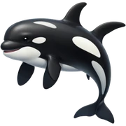 Orca sticker