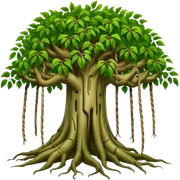 Banyan tree with hanging roots sticker