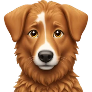 Ginger girl with a Australien Shepherd  sticker