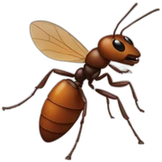 Ant sticker