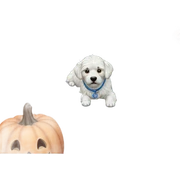 dog by halloween window sticker
