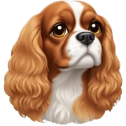 Cavalier King sticker