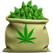 Weed in a bag sticker