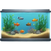 Fish tank sticker