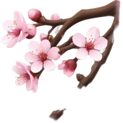 Cherry blossom sticker