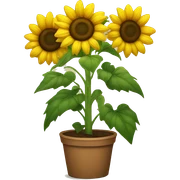 Sunflower sticker