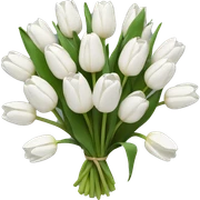 white tulip bouquet  sticker