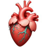 Anatomical heart sticker