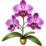 Orquídea sticker