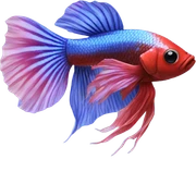 Betta Fish sticker