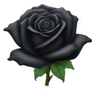 Black rose sticker