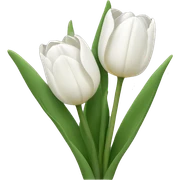 White tulips  sticker