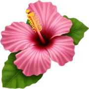 hibiscus flower sticker