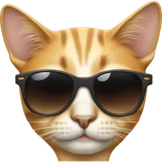 Cat with sunglasses sticker