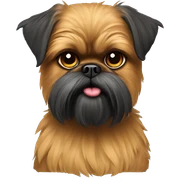 brussels-griffon sticker