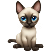 siamese cat blue eyes sticker