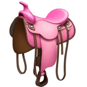 Pink Saddle sticker