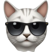 Cat with sunglasses sticker