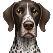 German shorthair pointer sticker