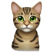 Tabby cat green eyes sticker