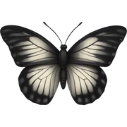 Black butterfly sticker
