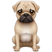 Punjabi pugg sticker