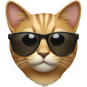 Cat with sunglasses sticker
