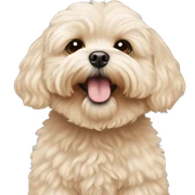 Maltipoo sticker