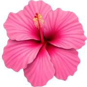 Pink hibiscus  sticker