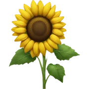 Sunflower  sticker