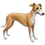 Fawn greyhound sticker
