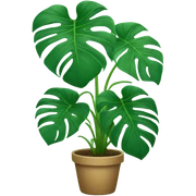 Monstera sticker