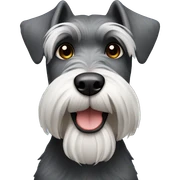 Schnauzer  sticker
